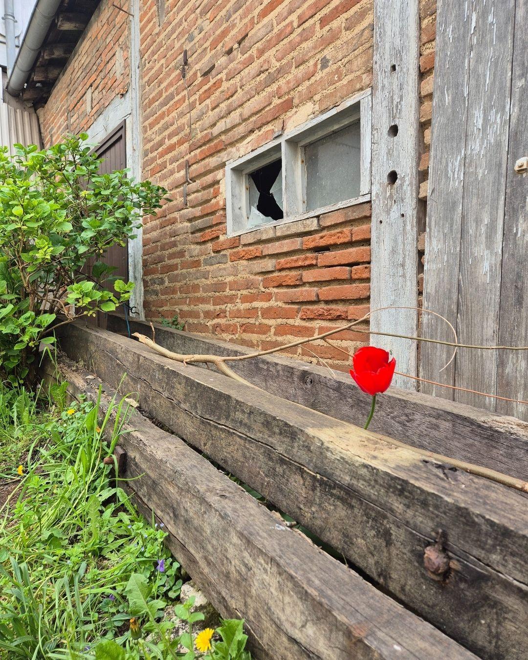 architecture à Auxey-Duresses (21) - Eclos architecture