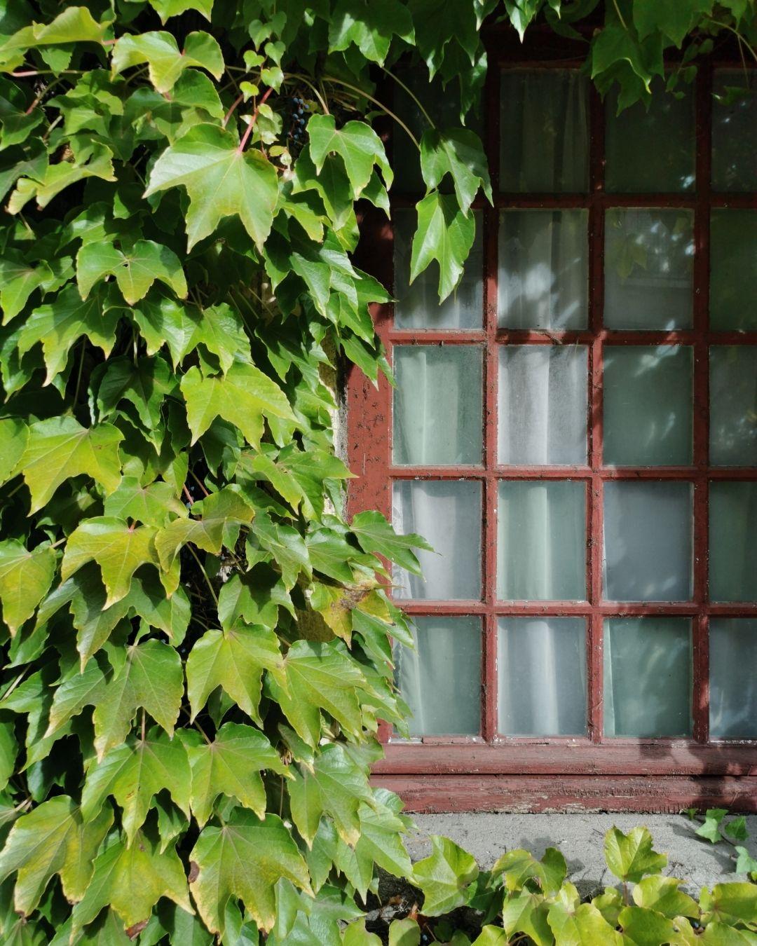 architecture à Nuits-saint-Georges (21) - Eclos architecture